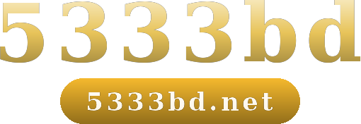 5333bd logo